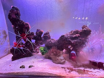 ゼロ距離水族館 伊勢シーパラダイスに投稿された画像（2025/8/11）