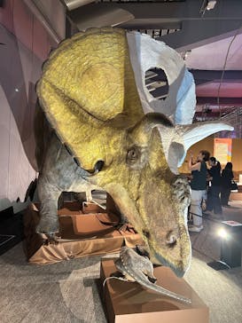 巨大恐竜展2025に投稿された画像（2025/8/11）