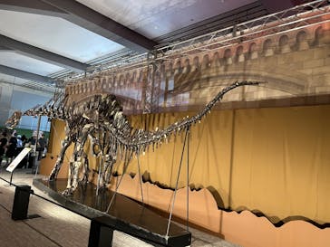 巨大恐竜展2025に投稿された画像（2025/8/11）