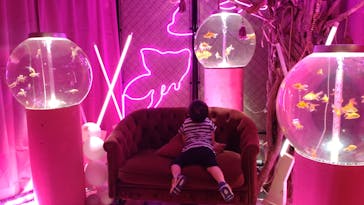 NARA KINGYO MUSEUMに投稿された画像（2025/8/11）