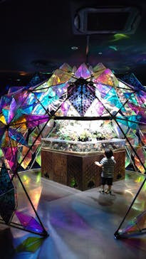 NARA KINGYO MUSEUMに投稿された画像（2025/8/11）