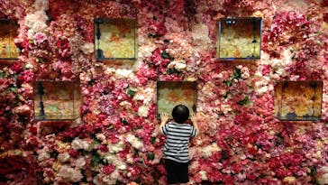 NARA KINGYO MUSEUMに投稿された画像（2025/8/11）