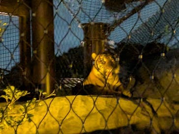 名古屋市東山動植物園に投稿された画像（2025/8/11）