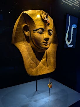 ACN ラムセス大王展 ファラオたちの黄金に投稿された画像（2025/8/11）