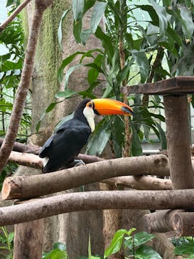 千葉市動物公園に投稿された画像（2025/8/11）