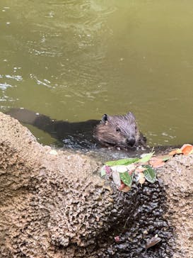 千葉市動物公園に投稿された画像（2025/8/11）