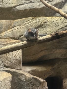 千葉市動物公園に投稿された画像（2025/8/11）