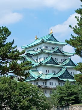 名古屋城に投稿された画像（2025/8/11）