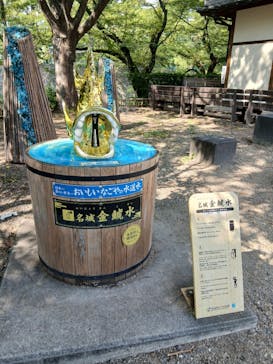 名古屋城に投稿された画像（2025/8/11）