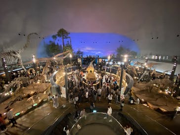 福井県立恐竜博物館に投稿された画像（2025/8/11）