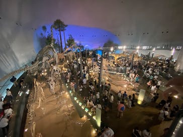福井県立恐竜博物館に投稿された画像（2025/8/11）