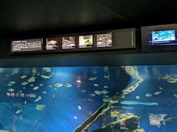 サンシャイン水族館に投稿された画像（2025/8/11）