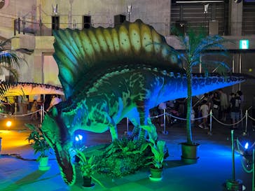 京都 大恐竜博 ～動く！吠える！暴れる！大迫力の巨大恐竜がやってくる～に投稿された画像（2025/8/11）