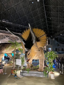 京都 大恐竜博 ～動く！吠える！暴れる！大迫力の巨大恐竜がやってくる～に投稿された画像（2025/8/11）