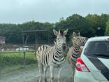 東北サファリパークに投稿された画像（2025/8/12）