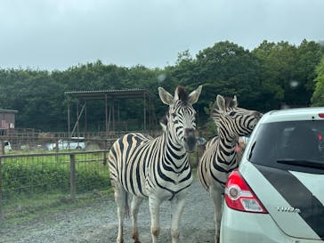 東北サファリパークに投稿された画像（2025/8/11）