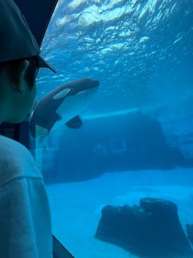 名古屋港水族館に投稿された画像（2025/8/11）