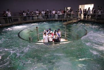 城崎マリンワールドに投稿された画像（2025/8/11）