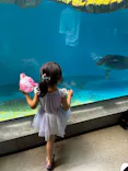仙台うみの杜水族館に投稿された画像（2025/8/12）