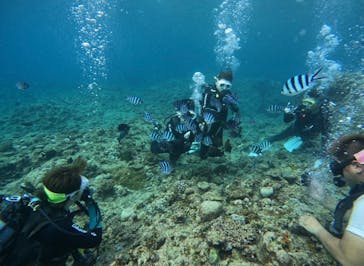 武藤潜水に投稿された画像（2025/8/12）