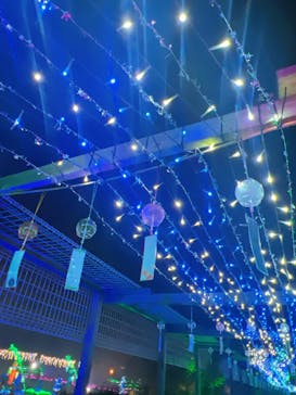 せんだい農業園芸センター　みどりの杜に投稿された画像（2025/8/12）