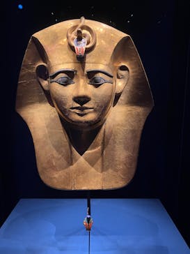 ACN ラムセス大王展 ファラオたちの黄金に投稿された画像（2025/8/12）