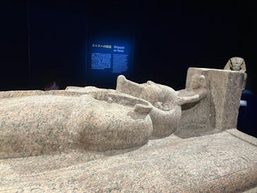 ACN ラムセス大王展 ファラオたちの黄金に投稿された画像（2025/8/12）