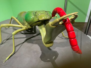 特別展 『昆虫 MANIAC』に投稿された画像（2025/8/12）