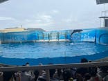 新江ノ島水族館に投稿された画像（2025/8/12）