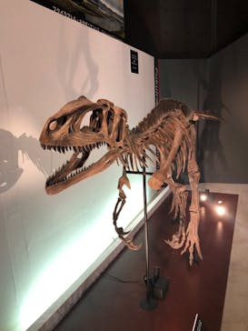 福井県立恐竜博物館に投稿された画像（2025/8/12）