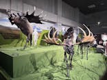 特別展「氷河期展 〜人類が見た4万年前の世界〜」（国立科学博物館）に投稿された画像（2025/8/12）