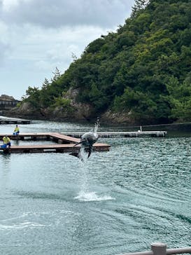 太地町立くじらの博物館に投稿された画像（2025/8/12）