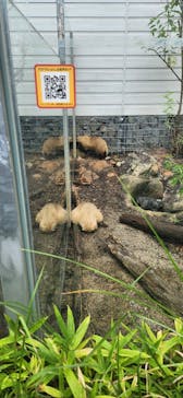 環境水族館アクアマリンふくしまに投稿された画像（2025/8/12）