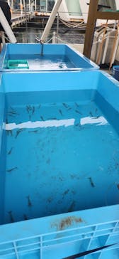 環境水族館アクアマリンふくしまに投稿された画像（2025/8/12）