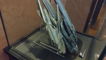 国立科学博物館に投稿された画像（2025/8/12）