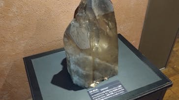 国立科学博物館に投稿された画像（2025/8/12）