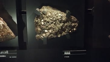 国立科学博物館に投稿された画像（2025/8/12）