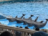 名古屋港水族館に投稿された画像（2025/8/12）