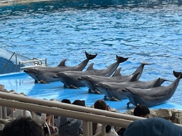 名古屋港水族館に投稿された画像（2025/8/12）