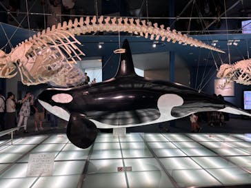 名古屋港水族館に投稿された画像（2025/8/12）