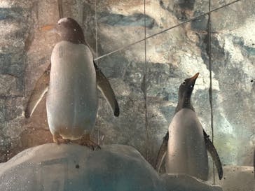 名古屋港水族館に投稿された画像（2025/8/12）