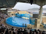 新江ノ島水族館に投稿された画像（2025/8/12）