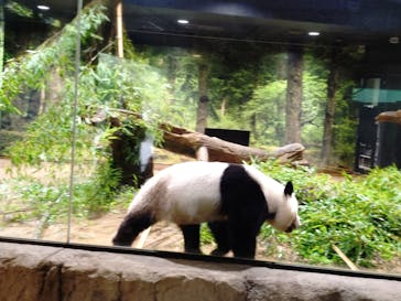 恩賜上野動物園に投稿された画像（2025/8/12）