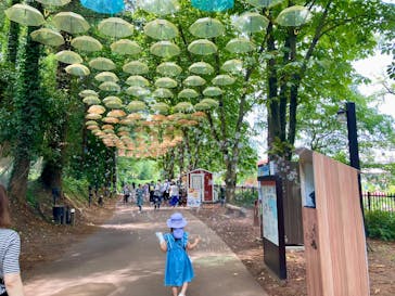 ムーミンバレーパークに投稿された画像（2025/8/12）