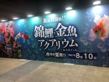 錦鯉・金魚アクアリウム in ときメッセに投稿された画像（2025/8/12）