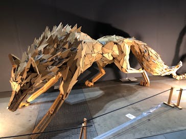 錦鯉・金魚アクアリウム in ときメッセに投稿された画像（2025/8/12）