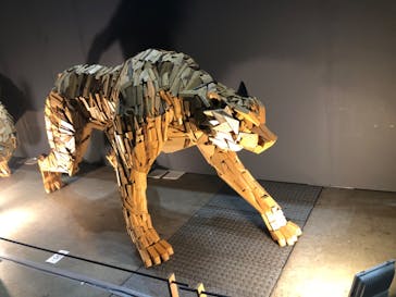 錦鯉・金魚アクアリウム in ときメッセに投稿された画像（2025/8/12）