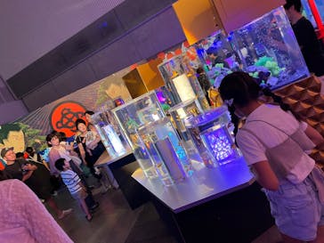 錦鯉・金魚アクアリウム in ときメッセに投稿された画像（2025/8/12）