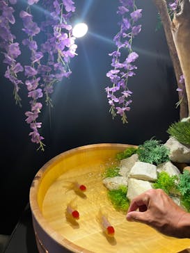 錦鯉・金魚アクアリウム in ときメッセに投稿された画像（2025/8/12）