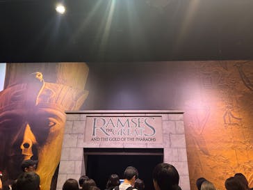 ACN ラムセス大王展 ファラオたちの黄金に投稿された画像（2025/8/12）